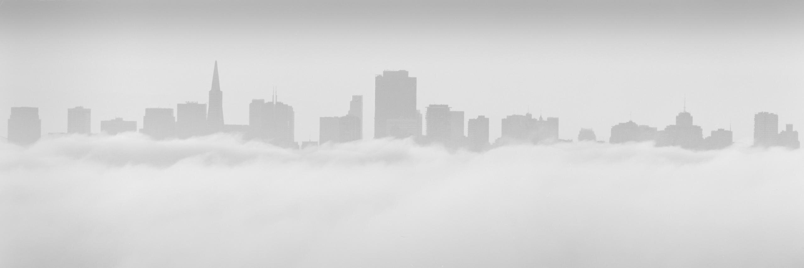 SFSU2018's profile banner image