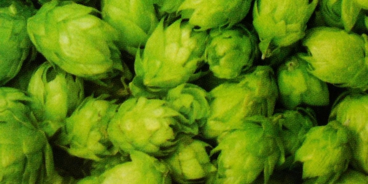 Pint4Scot's profile banner image