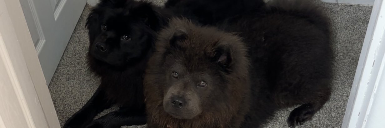 SlackDonnie's profile banner image