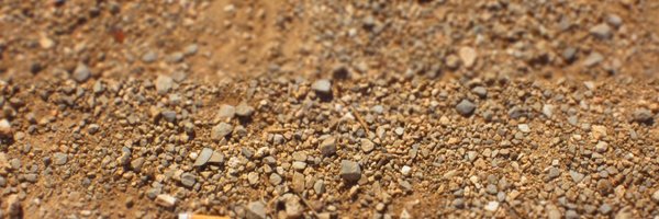 dummdida Profile Banner