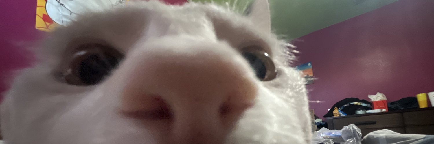 ughned's profile banner image