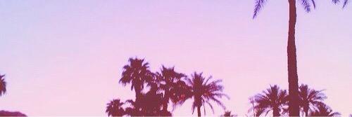 Megan548's profile banner image