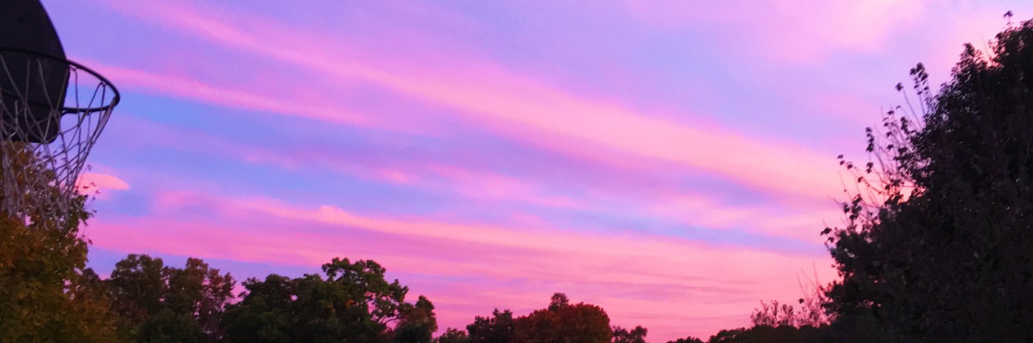 Wesley Evon banner