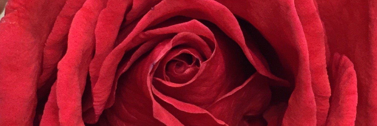 JazCheckinYoBag's profile banner image