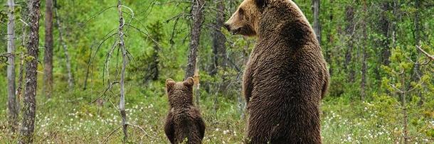 юрий поташов banner
