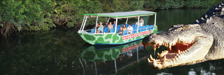 crocexp's profile banner image