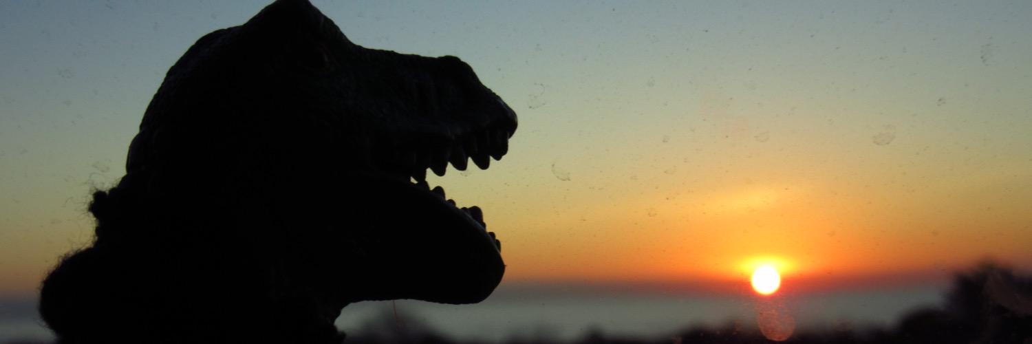 TravelRex's profile banner image