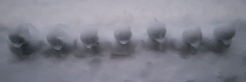 ninepasthree's profile banner image