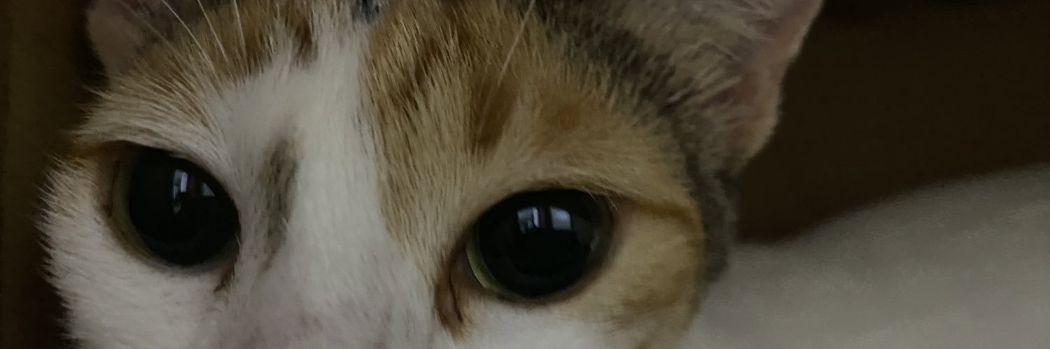 khynanananah's profile banner image