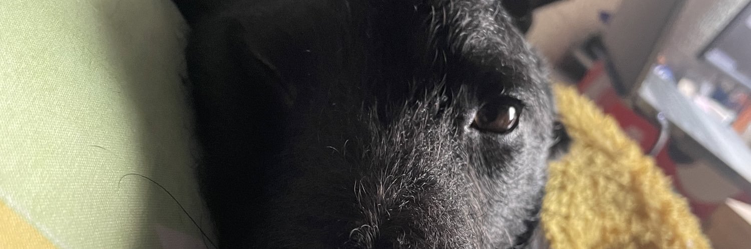 PatoFrAv's profile banner image