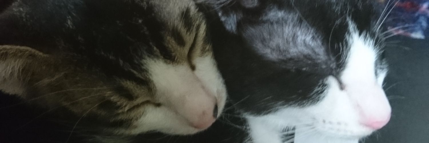 nana_y_visual's profile banner image