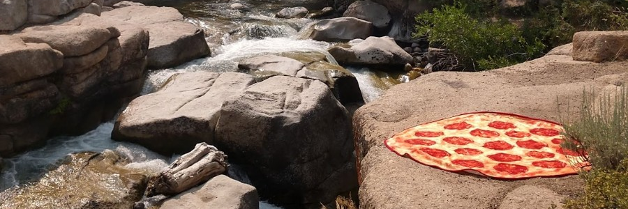 Courtney Brown banner