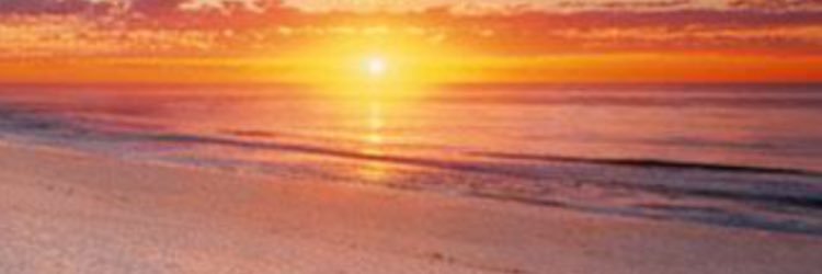 MattO banner