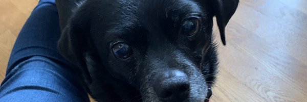 emilyebaum Profile Banner