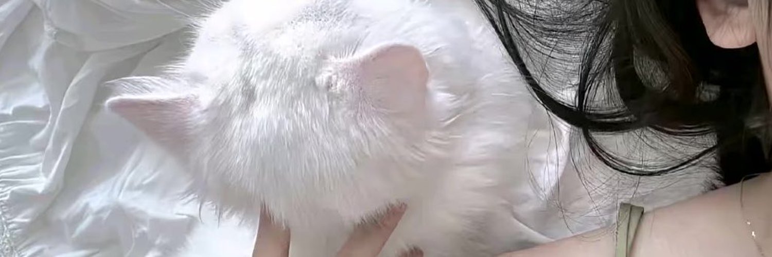 Matumoto411's profile banner image