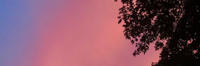 aja____'s profile banner image