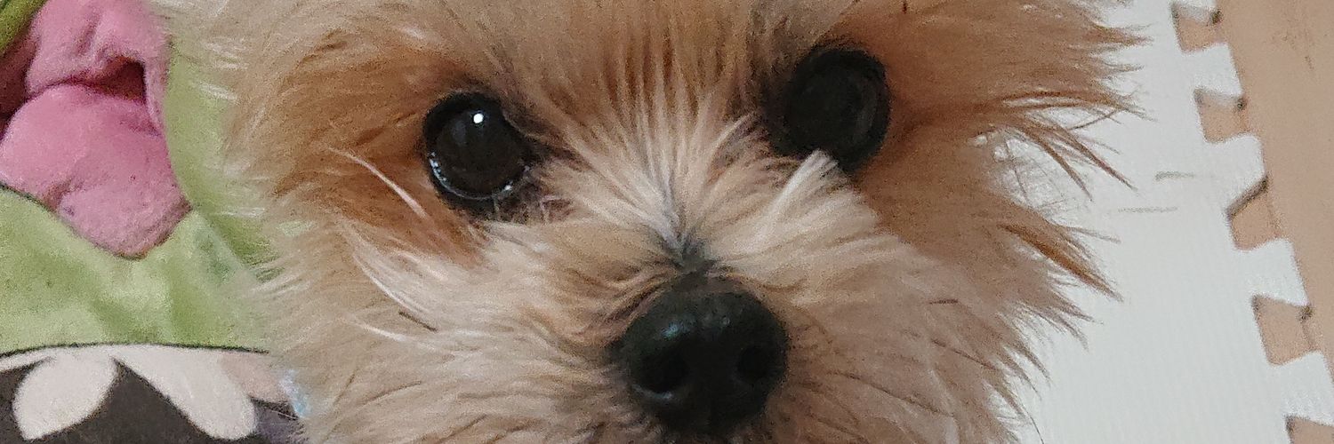 poco0418's profile banner image