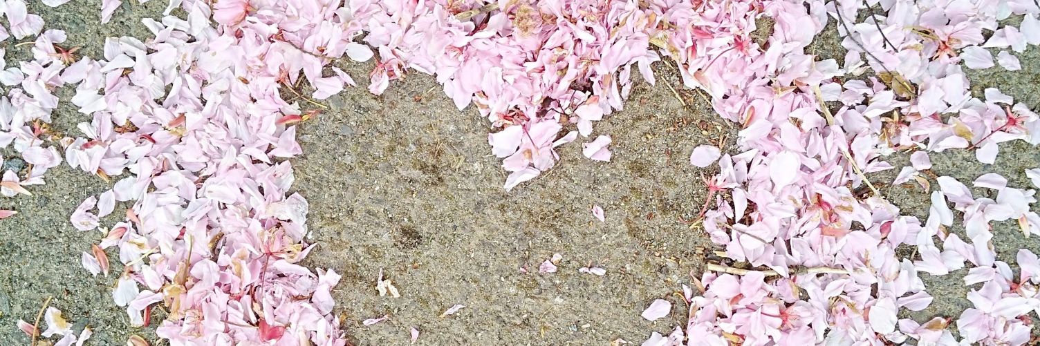 julsuluv's profile banner image