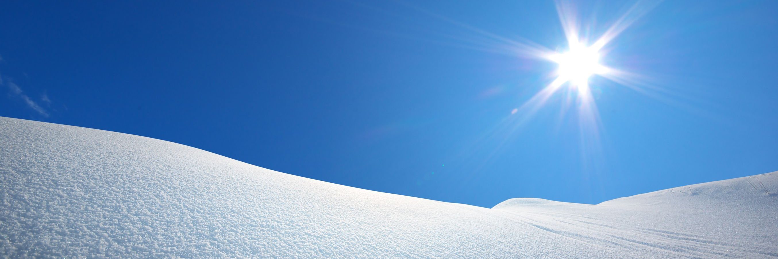 claire de wailly  banner