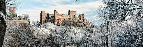 Israel Fernández Sánchez banner