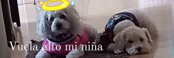 beatitina Profile Banner