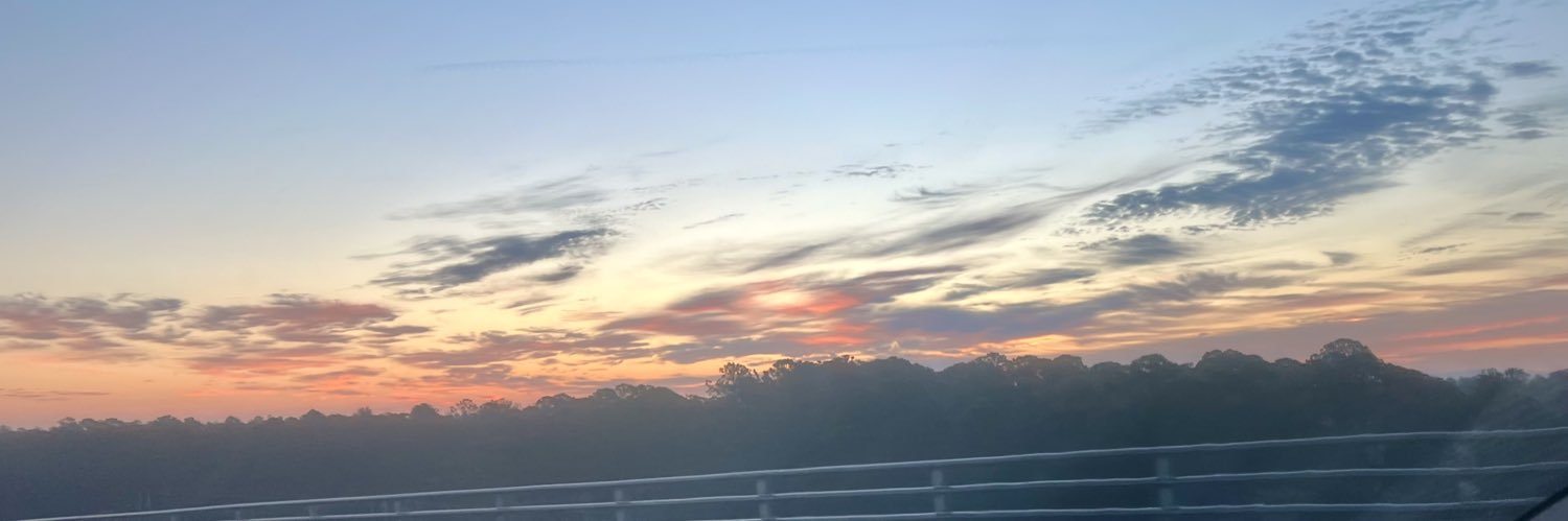 SpinMommy's profile banner image
