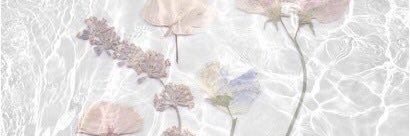 POWERPUFF_KIARA's profile banner image