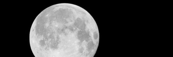 TheLurkinator's profile banner image