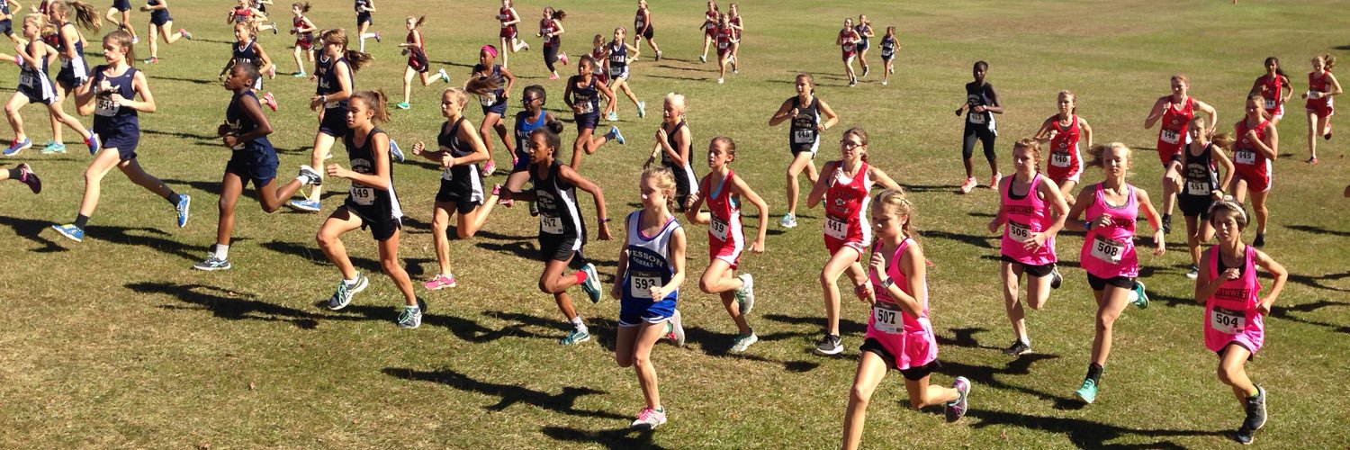 Ladyarrowxc's profile banner image