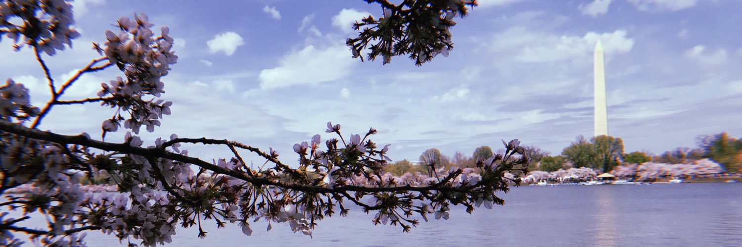 pingkan7's profile banner image