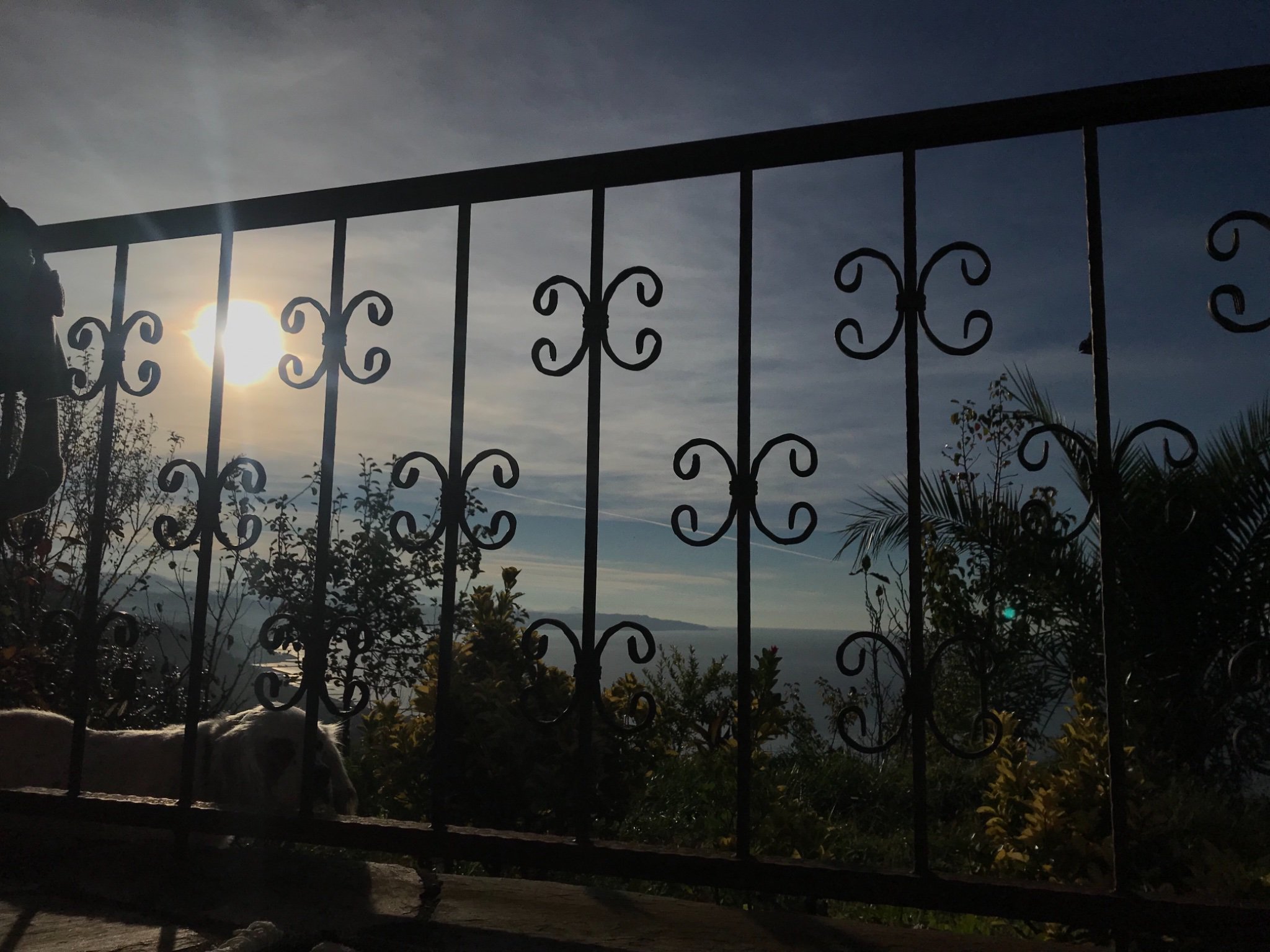 duduusko's profile banner image
