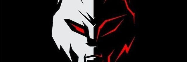 THE WOLF/CRYPTO SIGNALS banner