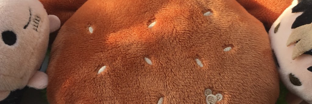 aanyhq's profile banner image
