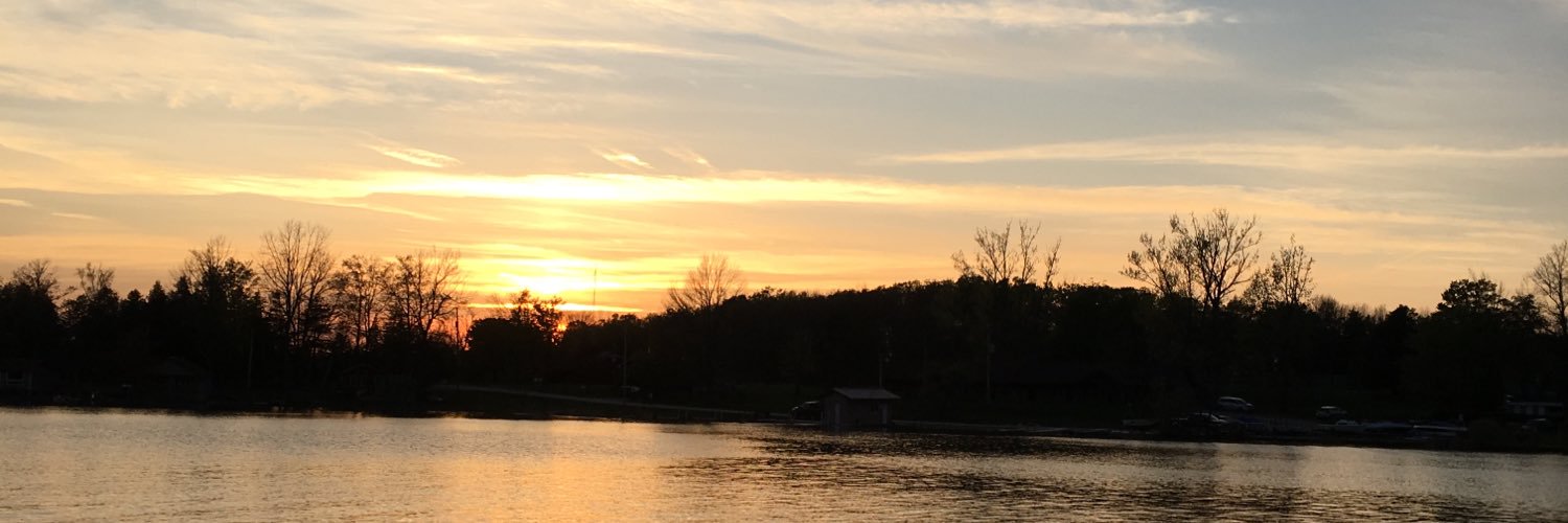 lillybroderick's profile banner image