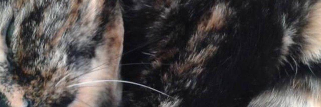 Make peace, not war! banner