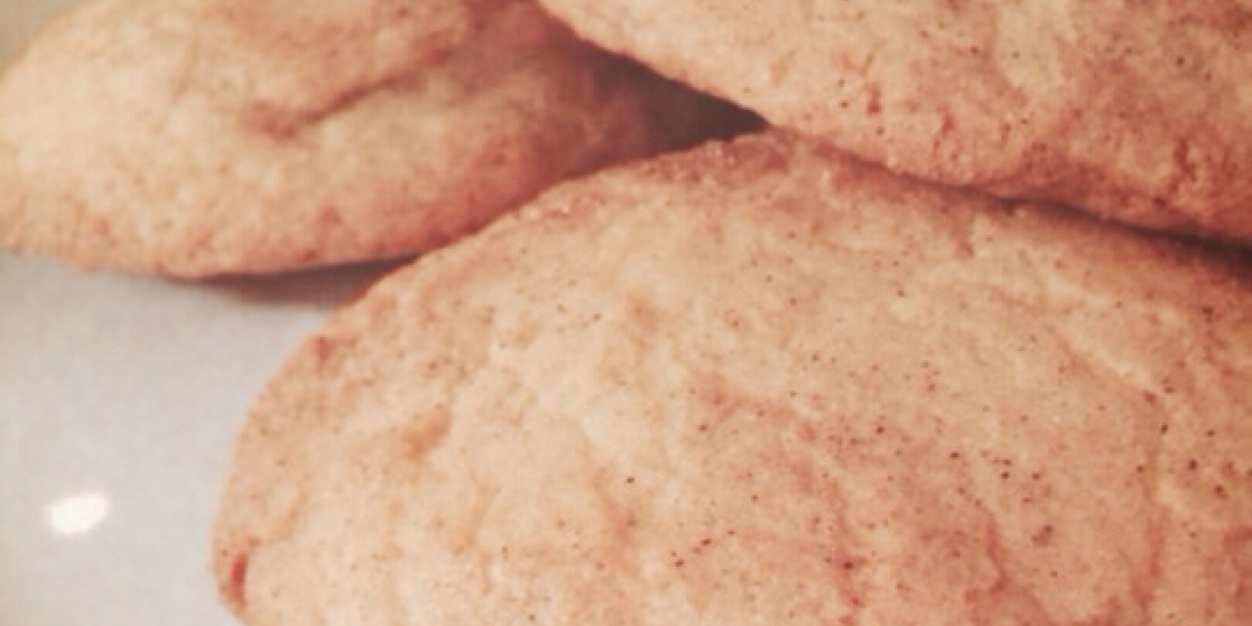 Snickerdoodle SW banner