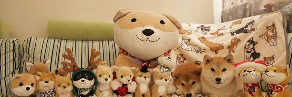 .... banner