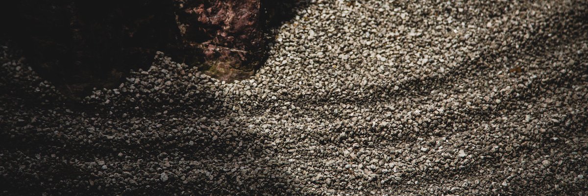 codihauka's profile banner image