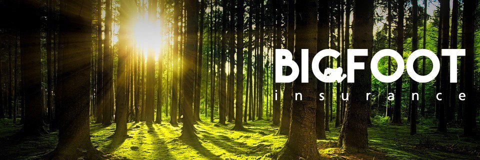 bigfootbinds's profile banner image