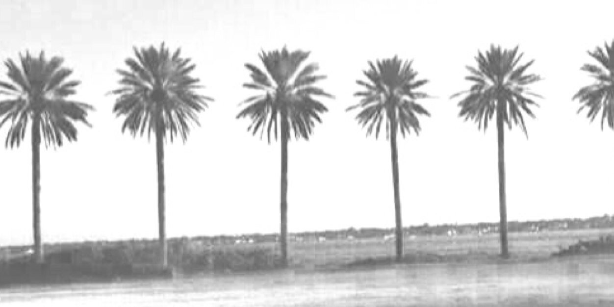 TheHundredFR's profile banner image