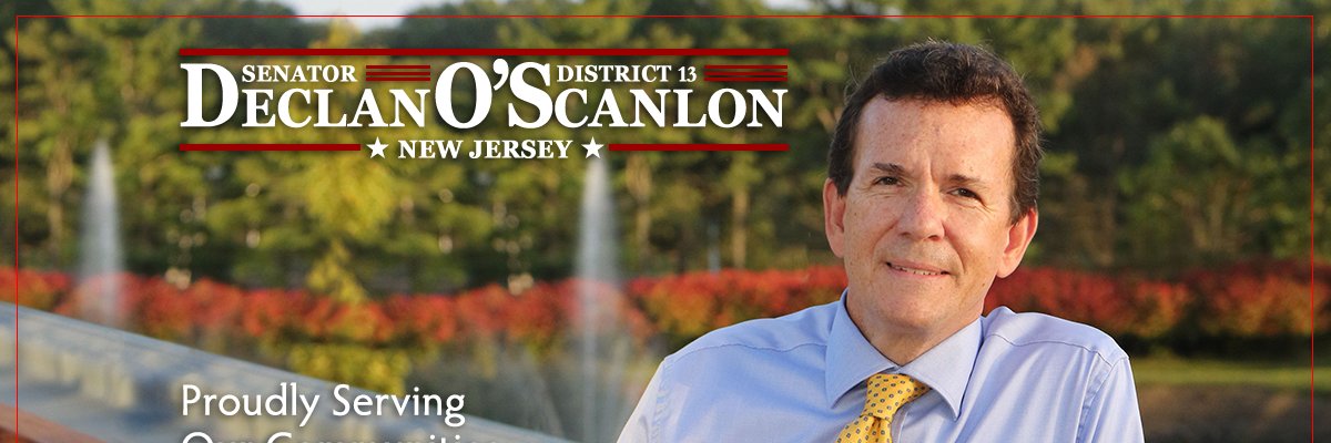 Declan O'Scanlon banner