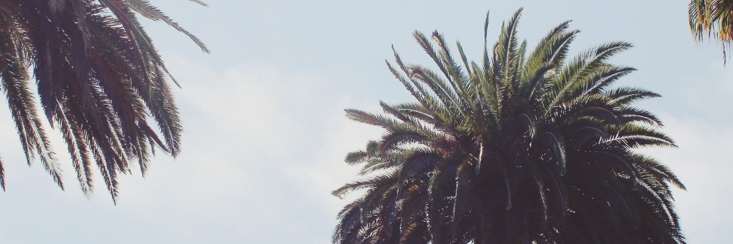 ChloeSilv's profile banner image