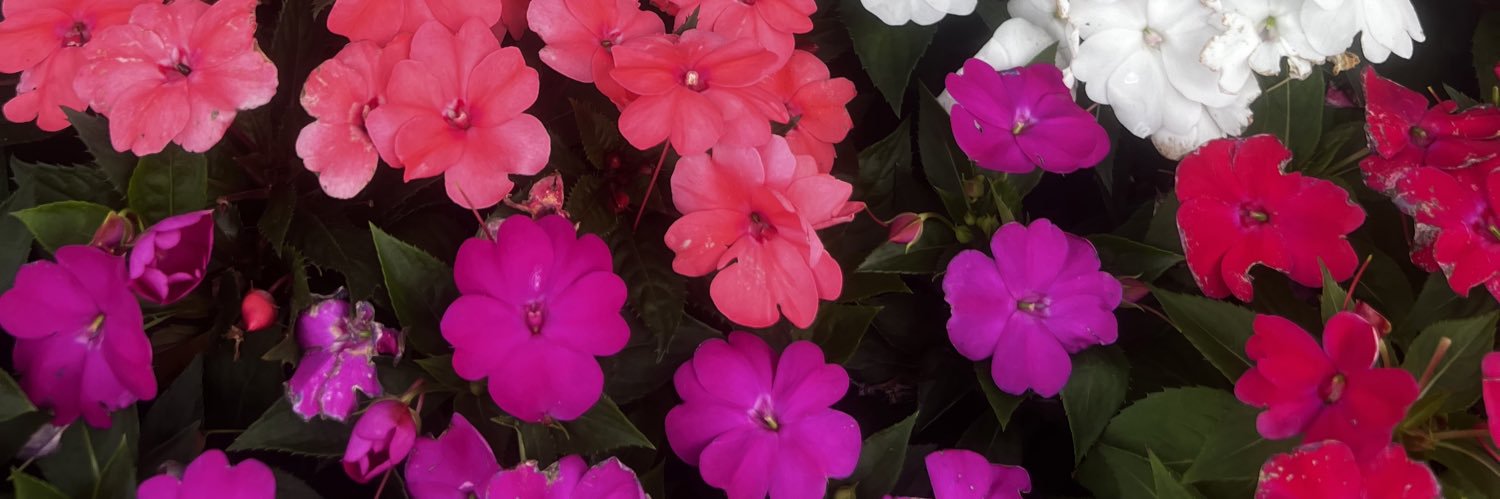 Maddie_Sanders_'s profile banner image