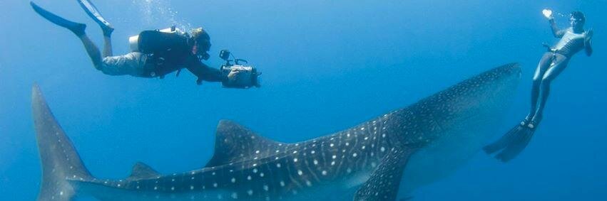 maldivedotcom's profile banner image