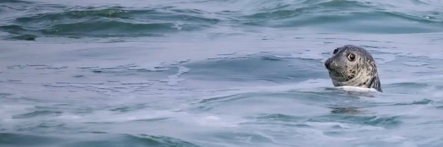 abadmillennial_'s profile banner image