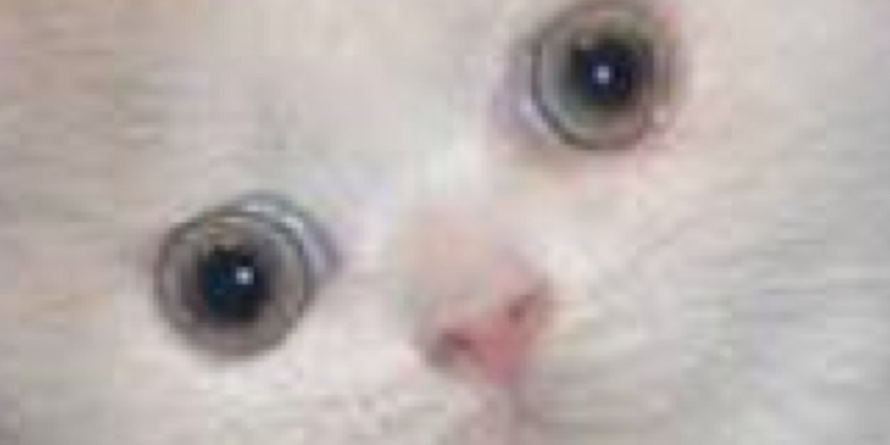 ManShoutout's profile banner image