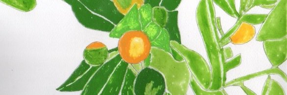 minoshimaemi's profile banner image