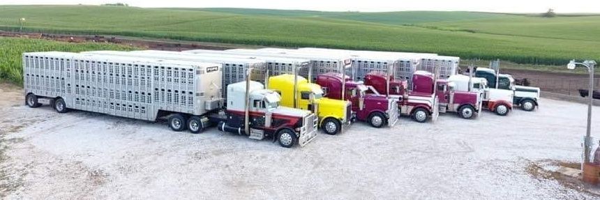 dp4440's profile banner image