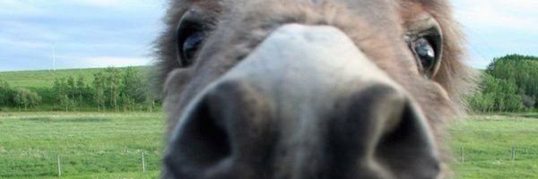 adrilifes_'s profile banner image