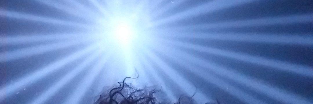 Ms. Dimps-TriniBajan banner